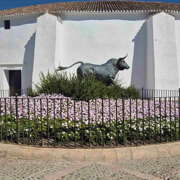 IMG-91ffc62d3cbf54d59d80eb3beaee671e-V