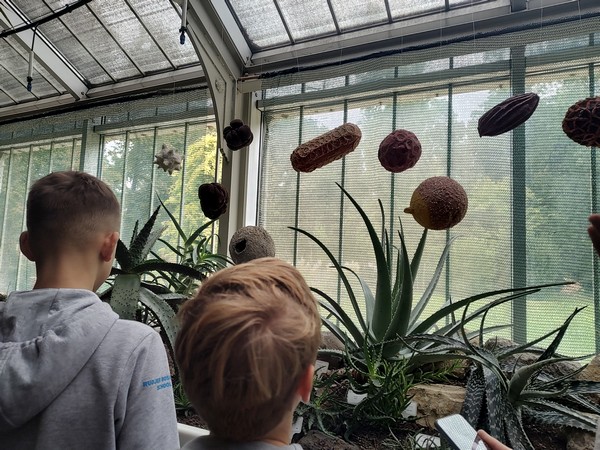 IMG_20251002_143036912_HDR