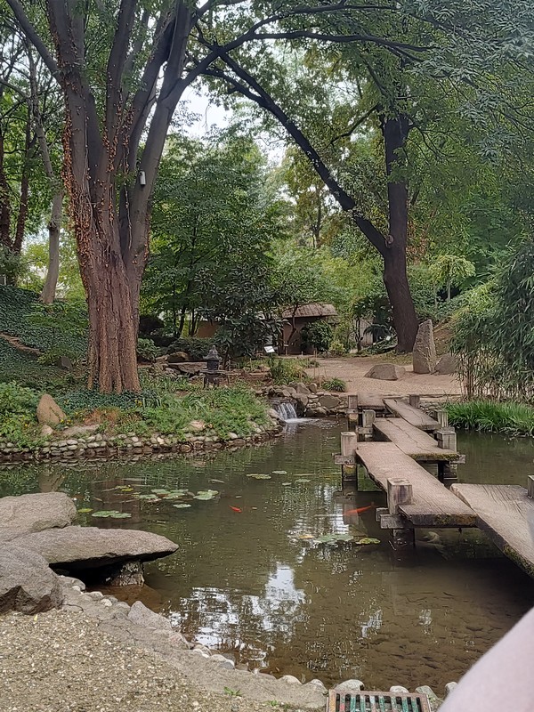 IMG_20251002_144250207_HDR