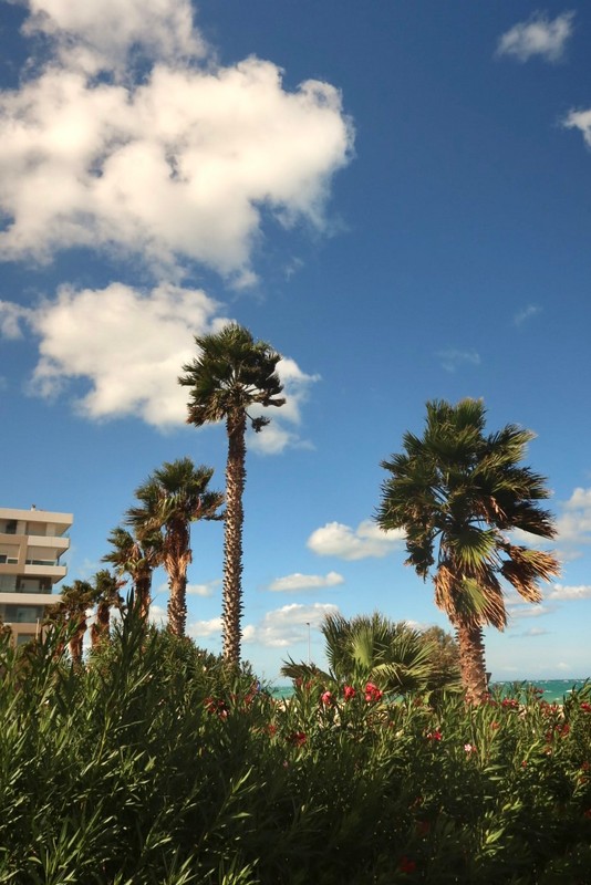 viber_image_2025-10-28_15-38-05-434