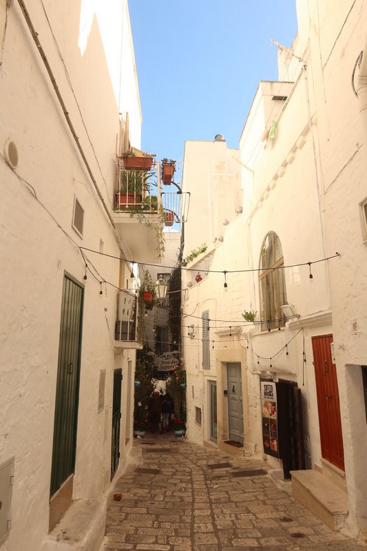 viber_image_2025-10-28_15-38-27-451