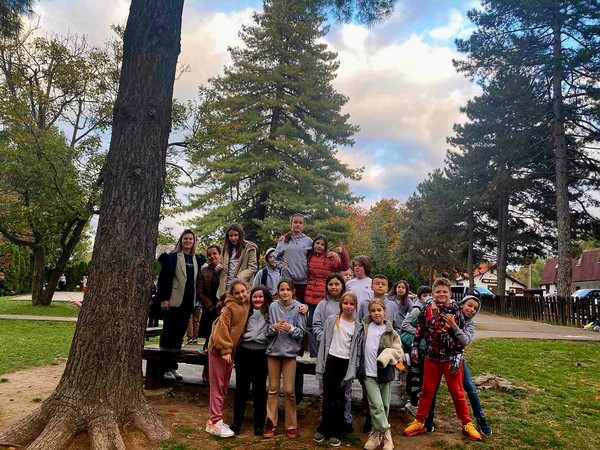 viber_image_2025-11-04_21-29-27-186