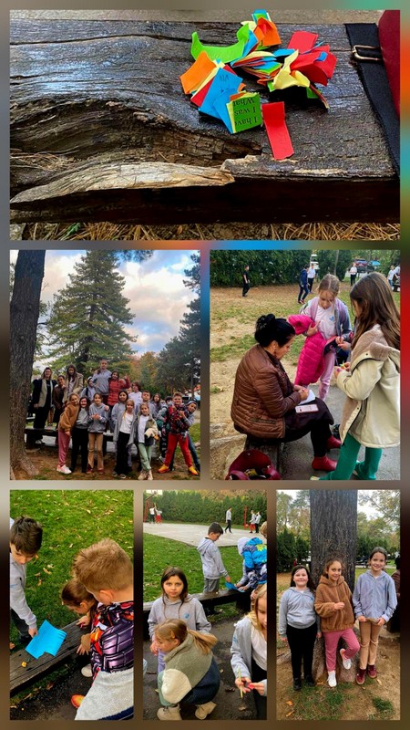 viber_image_2025-11-04_21-42-47-822